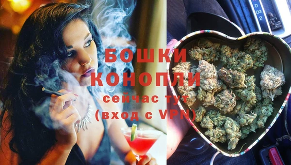 индика Сафоново