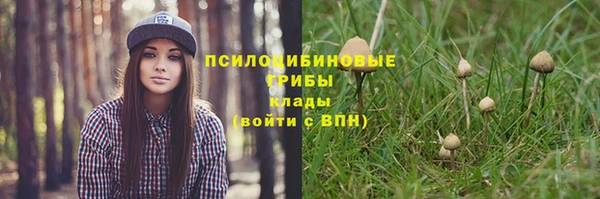 экстази Богородицк