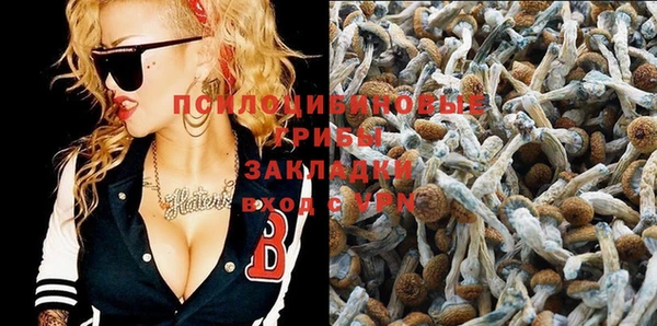 экстази Богородицк