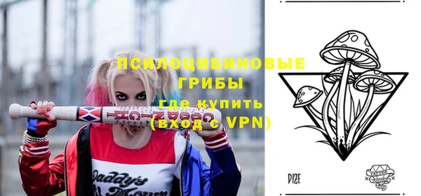 гидропоника Богданович