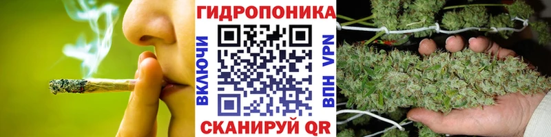 это клад  Первомайск  Бошки марихуана THC 21% 